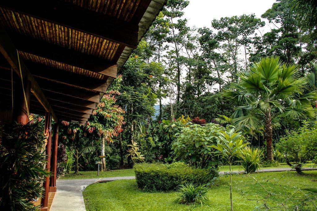 Catarata Eco Lodge La Fortuna Exterior photo