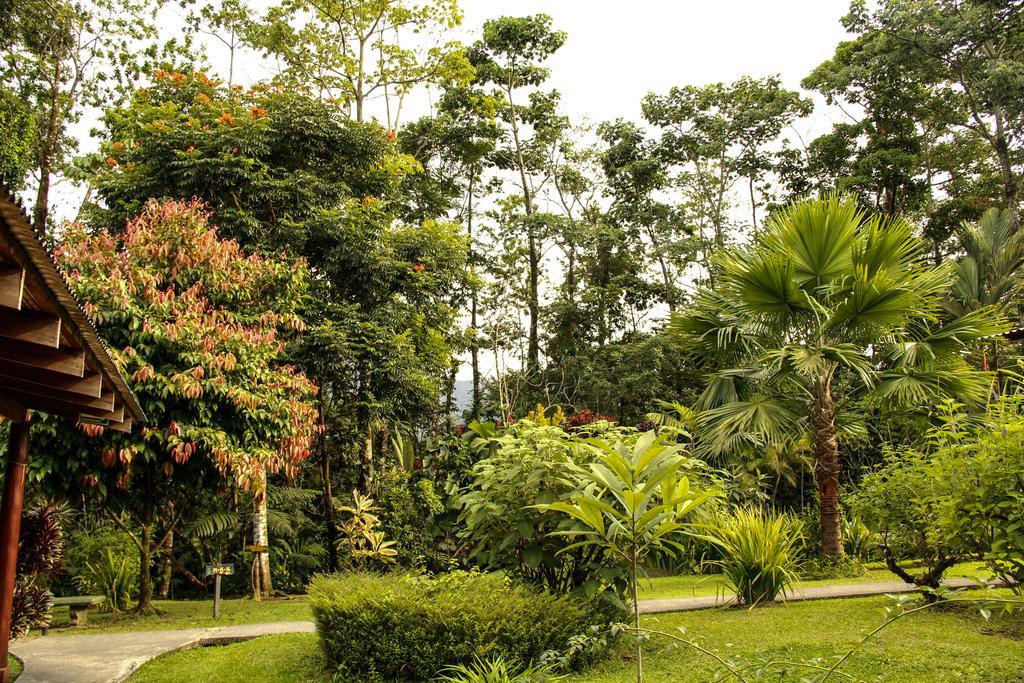 Catarata Eco Lodge La Fortuna Exterior photo