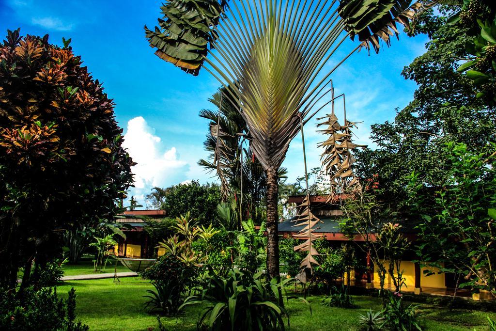 Catarata Eco Lodge La Fortuna Exterior photo